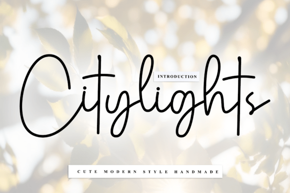 Citylights: A Designer's Honest Review for Real Projects