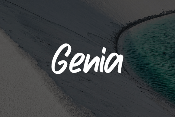 Genia: A Practical Typeface for Professional Branding