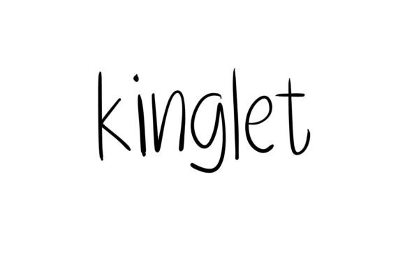 Kinglet Font: The Playful Handwritten Display Face for Modern Campaigns