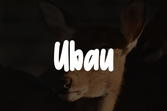 Ubau: A Modern Typeface Built for Branding Clarity