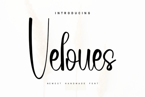 Veloues: The Font That Makes Promotional Design Feel Effortless